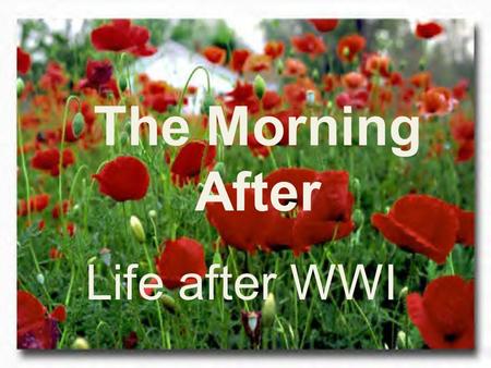The Morning After Life after WWI.