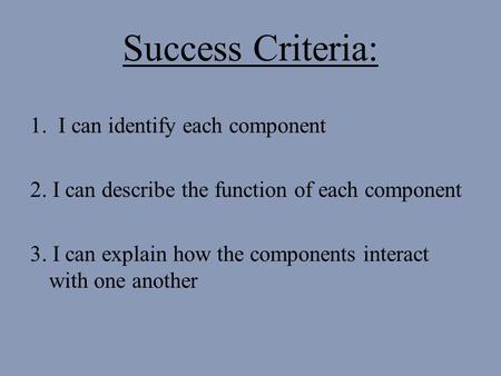 Success Criteria: 1.I can identify each component 2. I can describe the function of each component 3. I can explain how the components interact with one.