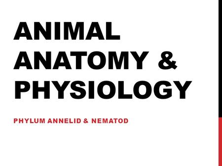 ANIMAL ANATOMY & PHYSIOLOGY PHYLUM ANNELID & NEMATOD.
