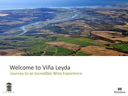 Welcome to Viña Leyda Journey to an Incredible Wine Experience.