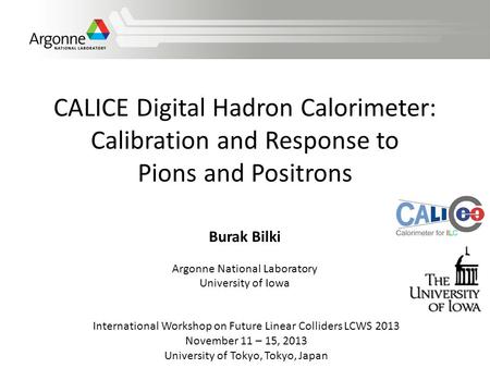 CALICE Digital Hadron Calorimeter: Calibration and Response to Pions and Positrons International Workshop on Future Linear Colliders LCWS 2013 November.