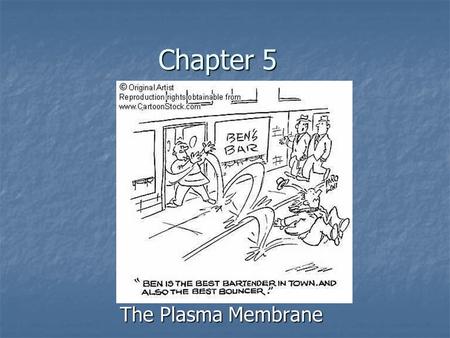 Chapter 5 The Plasma Membrane. The Cell Membrane: OUTSIDE INSIDE HYDROPHILIC HEAD HYDROPHOBIC TAIL TRANSPORT PROTEIN.