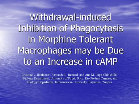 Withdrawal-induced Inhibition of Phagocytosis in Morphine Tolerant Macrophages may be Due to an Increase in cAMP.