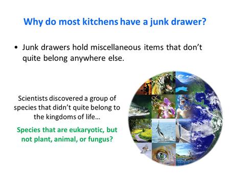 Why do most kitchens have a junk drawer?