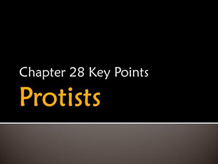 Chapter 28 Key Points.  Simplest Eukaryotes  Most diverse kingdom  Can be unicellular or multicellular  Paraphyletic  Under reorganization.