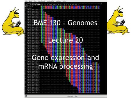 BME 130 – Genomes Lecture 20 Gene expression and mRNA processing.
