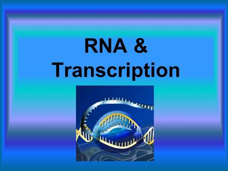 RNA & Transcription. RNA (Ribonucleic Acid) Journal For all your RNA news!