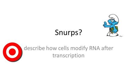 Snurps? describe how cells modify RNA after transcription.