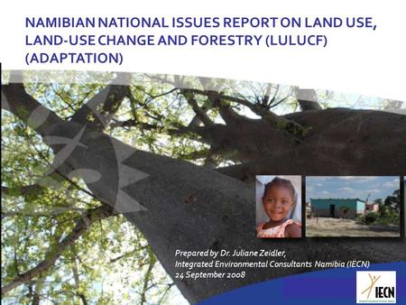 NAMIBIAN NATIONAL ISSUES REPORT ON LAND USE, LAND-USE CHANGE AND FORESTRY (LULUCF) (ADAPTATION) Prepared by Dr. Juliane Zeidler, Integrated Environmental.