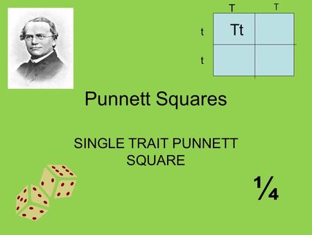 SINGLE TRAIT PUNNETT SQUARE Tt T t T t ¼ Punnett Squares.