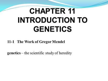 CHAPTER 11 INTRODUCTION TO GENETICS