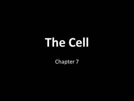 The Cell Chapter 7. Introduction n Robert Hooke, 1665 observed cork with a microscope and saw tiny boxes - called them cells n Leeuwenhoek observed pond.