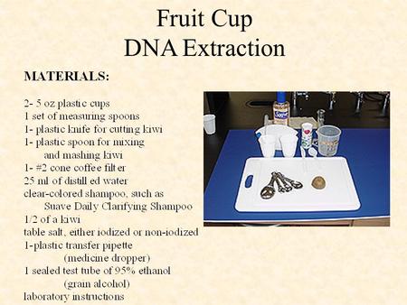 Fruit Cup DNA Extraction. Step 1 Into one of the 5 oz cups add 1 teaspoon of shampoo. Fruit Cup DNA Extraction.