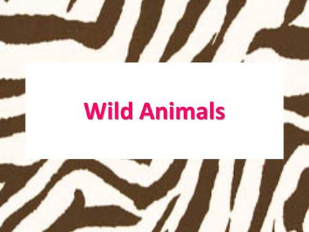 Wild Animals. These animals are not found in Malta.