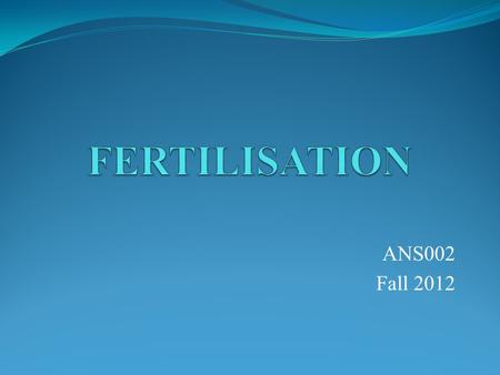 ANS002 Fall 2012. REPRODUCTION Reproduction is the biological process by which new offspring are produced from their parents” Two main types: sexual.