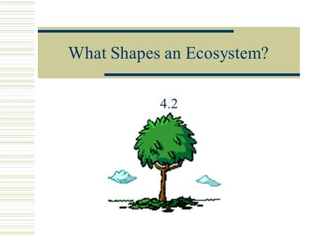 What Shapes an Ecosystem? 4.2 Biotic vs. Abiotic Factors  Biotic Examples  Trees  Grasses  Weeds  Birds  Snakes  Fish  Bacteria  Abiotic Examples.
