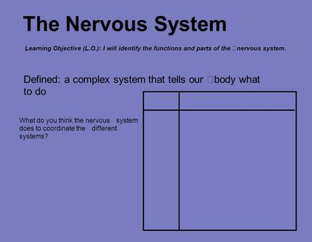 The Nervous System Defined: a complex system that tells our body what to do What do you think the nervous system does to coordinate the different systems?