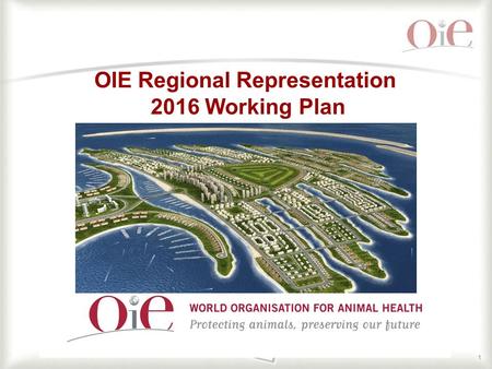 OIE Regional Representation 2016 Working Plan