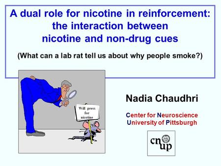 A dual role for nicotine in reinforcement: the interaction between nicotine and non-drug cues (What can a lab rat tell us about why people smoke?) Nadia.
