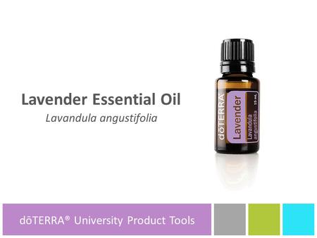 Lavender Essential Oil Lavandula angustifolia dōTERRA® Product Tools dōTERRA® University Product Tools.