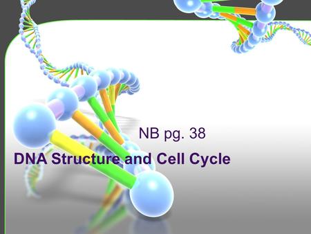 DNA Structure and Cell Cycle