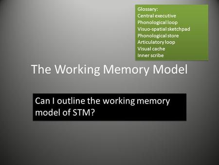 The Working Memory Model Can I outline the working memory model of STM? Glossary: Central executive Phonological loop Visuo-spatial sketchpad Phonological.