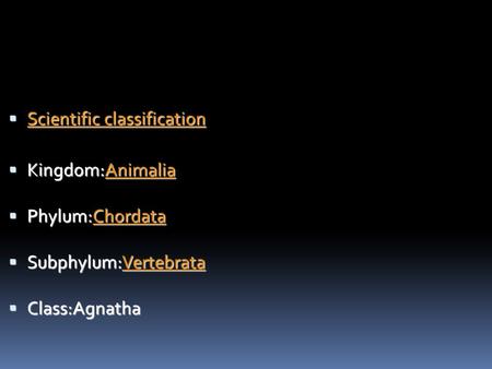  Scientific classification Scientific classification Scientific classification  Kingdom:Animalia Animalia  Phylum:Chordata Chordata  Subphylum:Vertebrata.