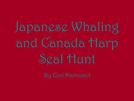 Japanese Whaling and Canada Harp Seal Hunt By Cori Mancuso!