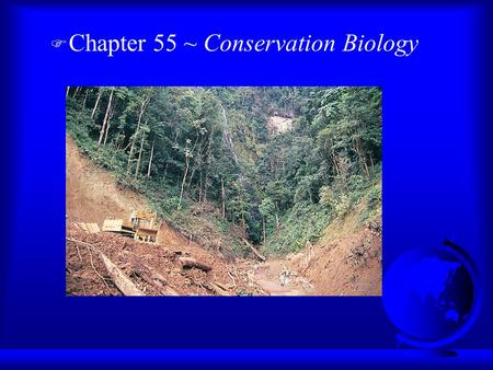 F Chapter 55 ~ Conservation Biology. Three Levels of Biodiversity F Loss of Genetic diversity: F Loss of Species Diversity: endangered vs. threatened.