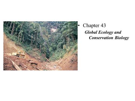 Chapter 43 Global Ecology and Conservation Biology.