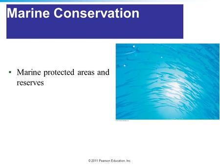 Marine Conservation Marine protected areas and reserves.