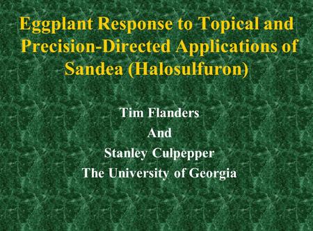 Eggplant Response to Topical and Precision-Directed Applications of Sandea (Halosulfuron) Tim Flanders And Stanley Culpepper The University of Georgia.