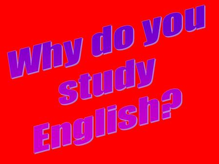 I study English because… I like to study foreign languages.