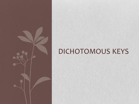 DICHOTOMOUS KEYS Introduction A dichotomous key is a tool that allows the user to determine the identity of items in the natural world, such as trees,
