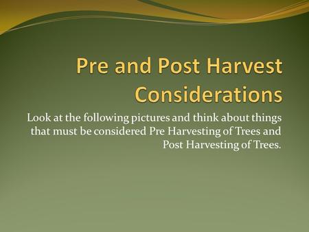 Look at the following pictures and think about things that must be considered Pre Harvesting of Trees and Post Harvesting of Trees.