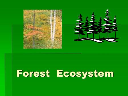 Forest Ecosystem.
