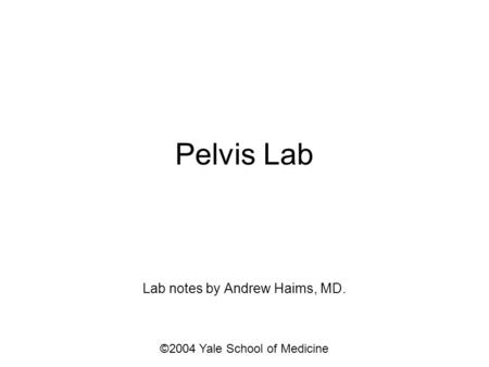 Pelvis Lab Lab notes by Andrew Haims, MD. ©2004 Yale School of Medicine.