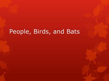 People, Birds, and Bats.