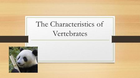 The Characteristics of Vertebrates. Mammals Birds All birds: 1.Are vertebrates (which means they have a backbone or spine) 2.Are endothermic. Also known.