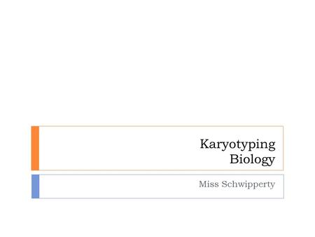Karyotyping Biology Miss Schwipperty. Questions  How many chromosomes come from your Father?  How many chromosomes come from your Mother?  What are.