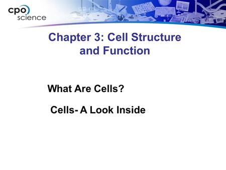 Chapter 3: Cell Structure and Function What Are Cells? Cells- A Look Inside.