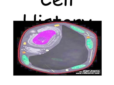 Cell History.