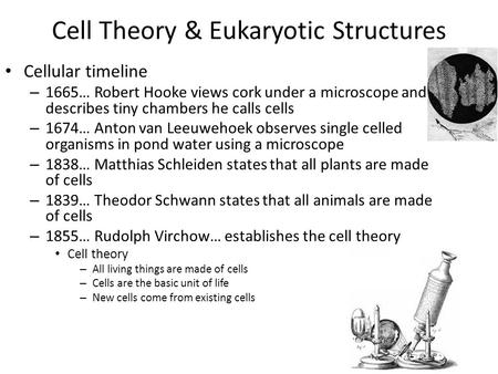 Cell Theory & Eukaryotic Structures Cellular timeline – 1665… Robert Hooke views cork under a microscope and describes tiny chambers he calls cells – 1674…