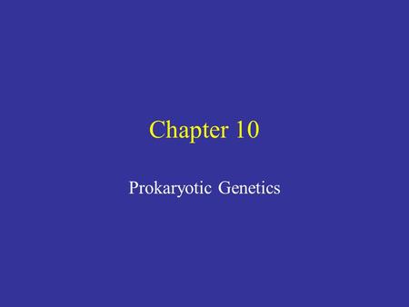 Chapter 10 Prokaryotic Genetics.