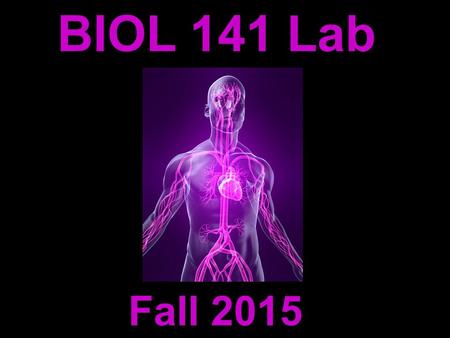 BIOL 141 Lab Fall 2015. Michelle Smith   Instructor: Contact Information: