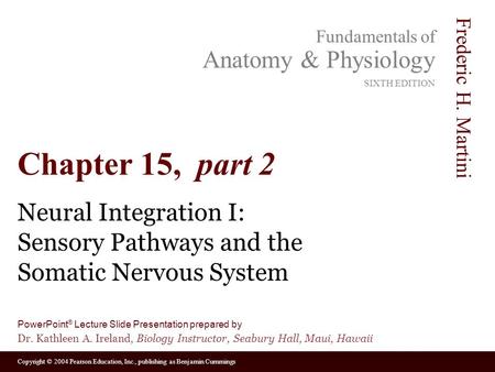 Neural Integration I: Sensory Pathways and the Somatic Nervous System