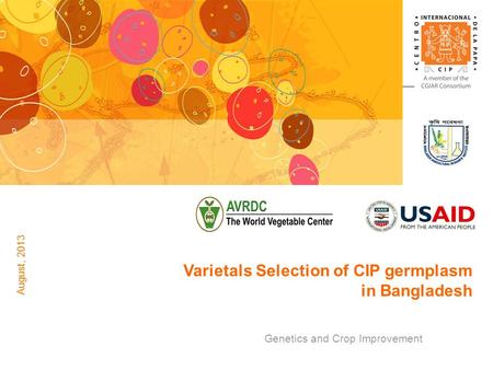 Genetics and Crop Improvement Varietals Selection of CIP germplasm in Bangladesh August, 2013.