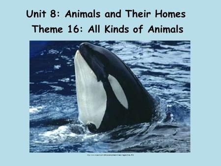Unit 8: Animals and Their Homes Theme 16: All Kinds of Animals