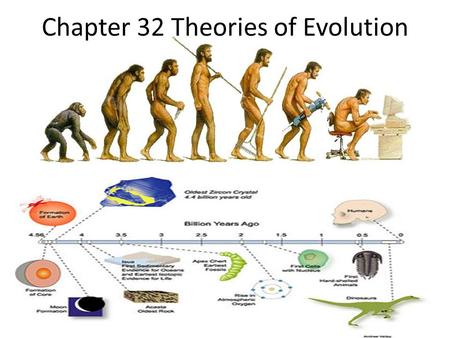 Chapter 32 Theories of Evolution