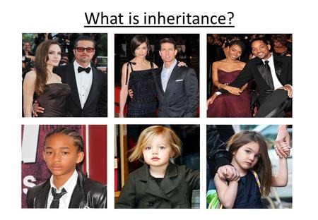 What is inheritance?. The Royal Family Inherited Characteristic or Not? Hair ColourLeft or Right Handed Eye ColourAbility to roll tongue HeightBlood.